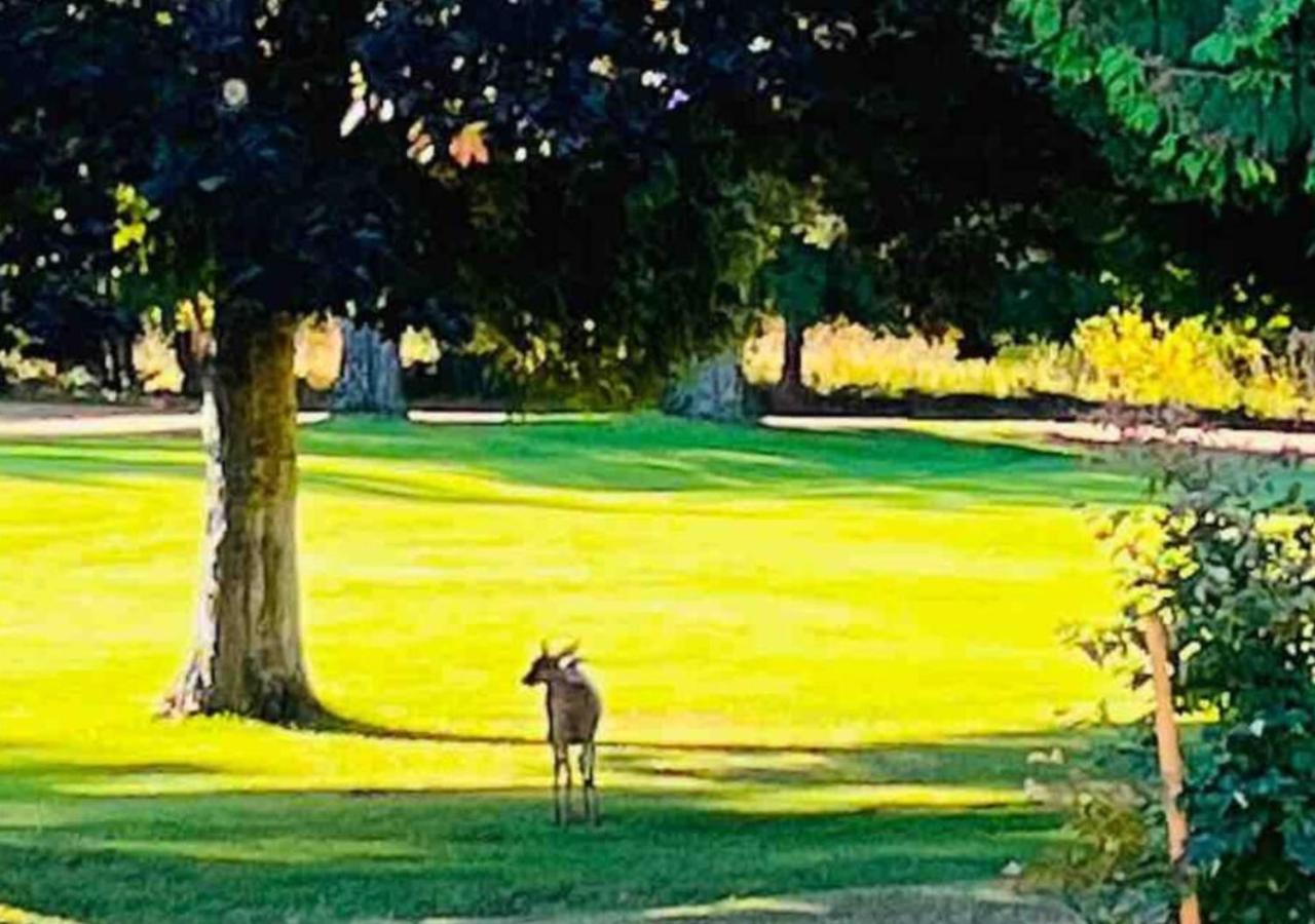 Oceanside Manor - Golf Course View Bed and Breakfast Qualicum Beach Eksteriør billede
