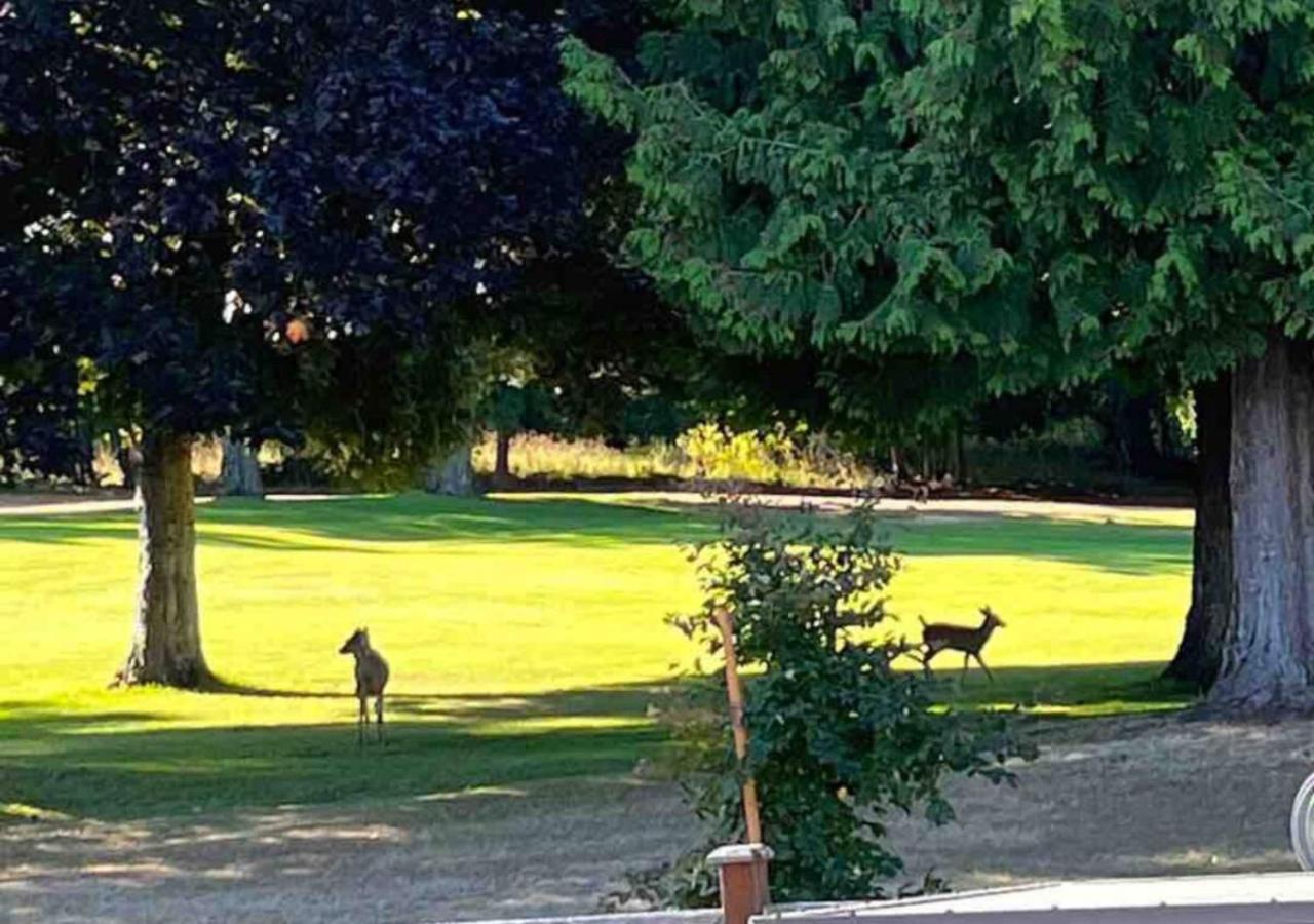 Oceanside Manor - Golf Course View Bed and Breakfast Qualicum Beach Eksteriør billede